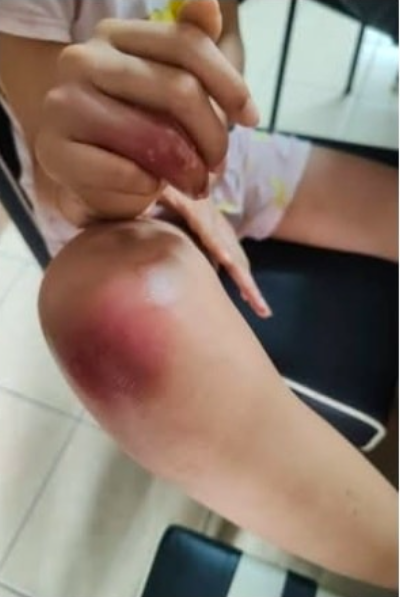 pin jalur gemilang
