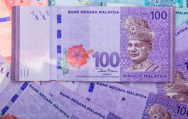 sara rm100