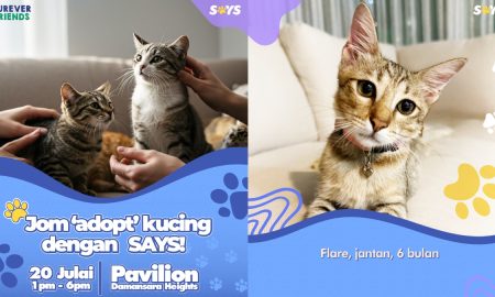 furever friends