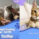 furever friends