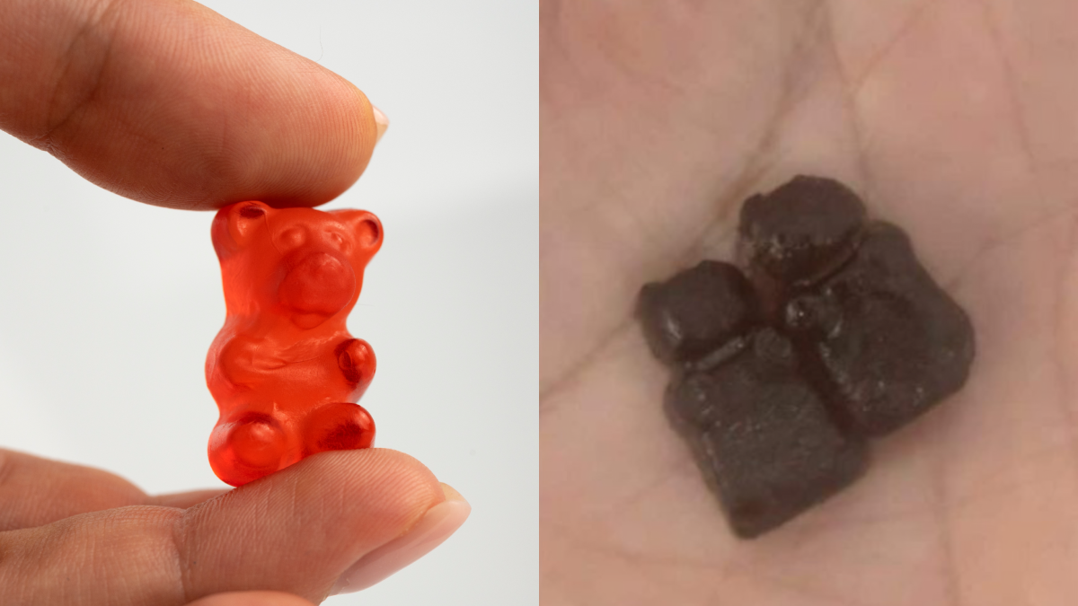 gula gula ganja