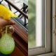petua rumah bebas cicak