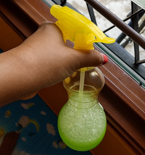 petua rumah bebas cicak