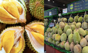 tempat makan durian