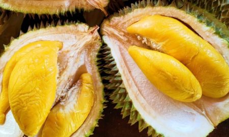 tips memilih buah durian