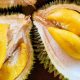 tips memilih buah durian