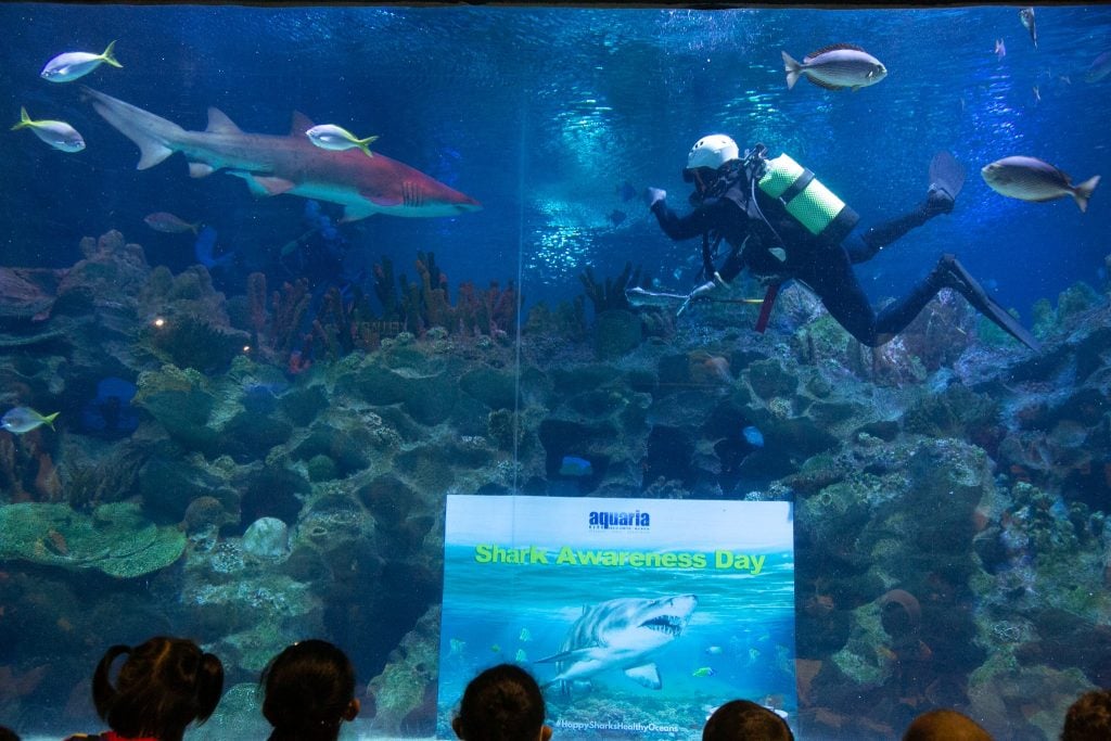 tiket masuk aquaria klcc