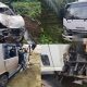 5 beradik