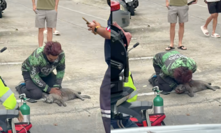 bantuan cpr