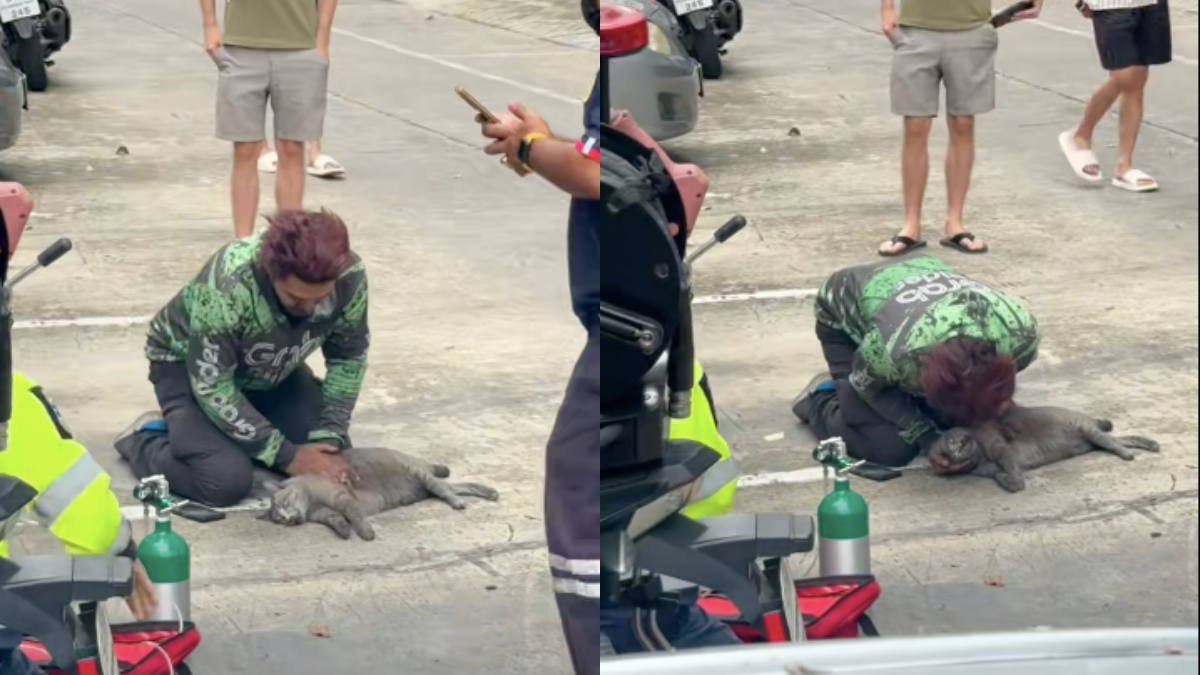 bantuan cpr