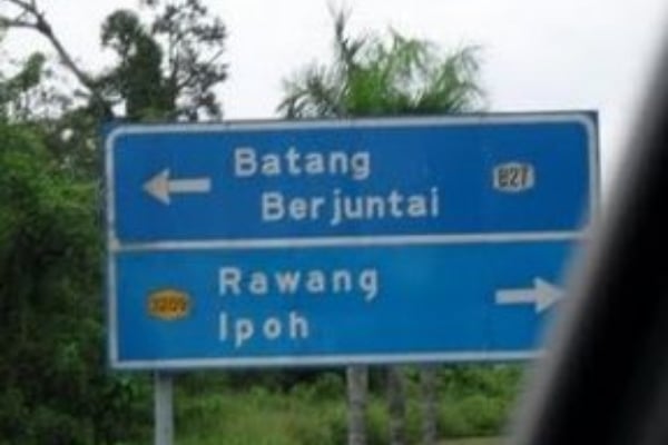 batang berjuntai