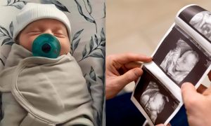 bayi lelaki hasil embrio