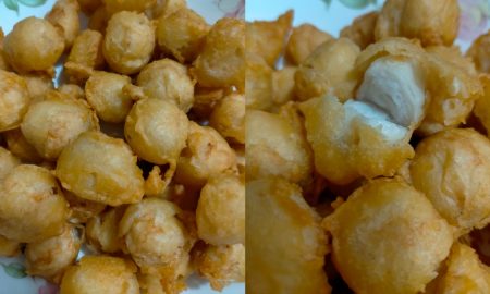 bebola ikan