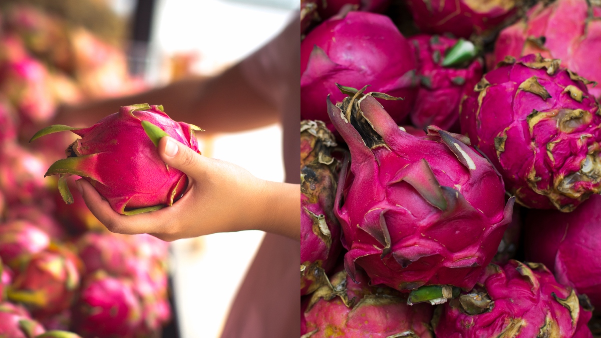 buah naga yang manis