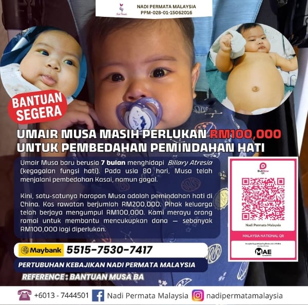 fungsi hati