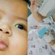 fungsi hati