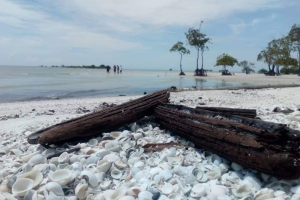 pantai siput