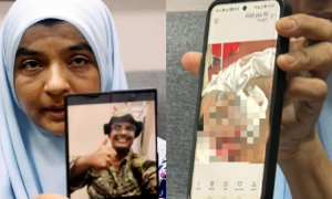 pelatih palapes