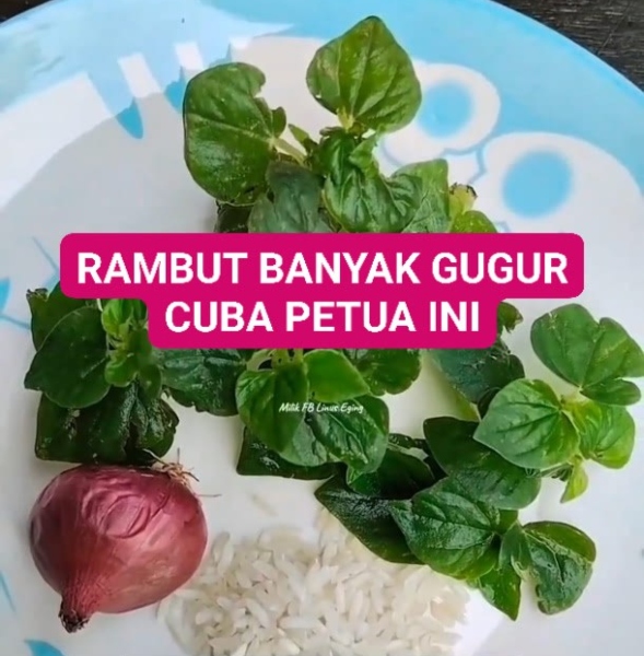petua rambut banyak gugur