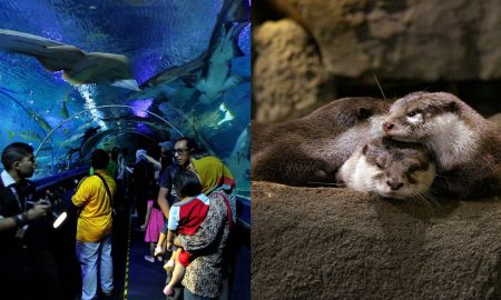 tiket masuk aquaria klcc