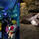 tiket masuk aquaria klcc