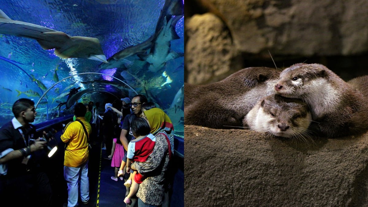 tiket masuk aquaria klcc
