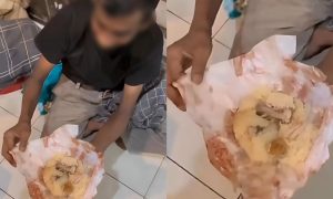 tulang ayam