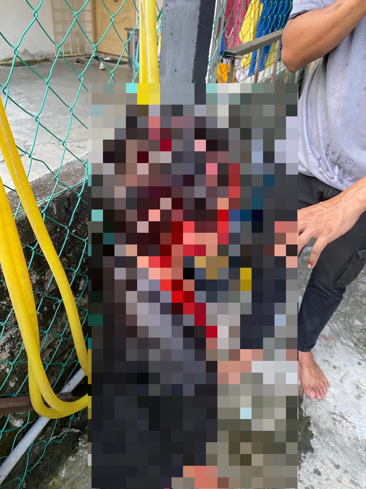 DISERANG ANJING