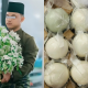 bunga telur kahwin