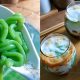 cendol anti gagal