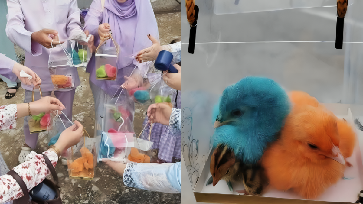 doorgift kahwin