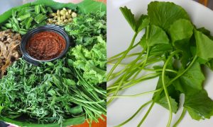 jenis sayur kampung
