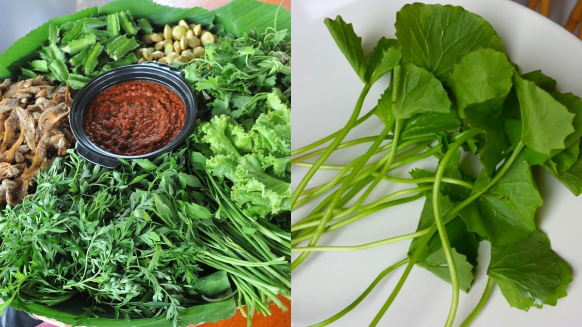 jenis sayur kampung