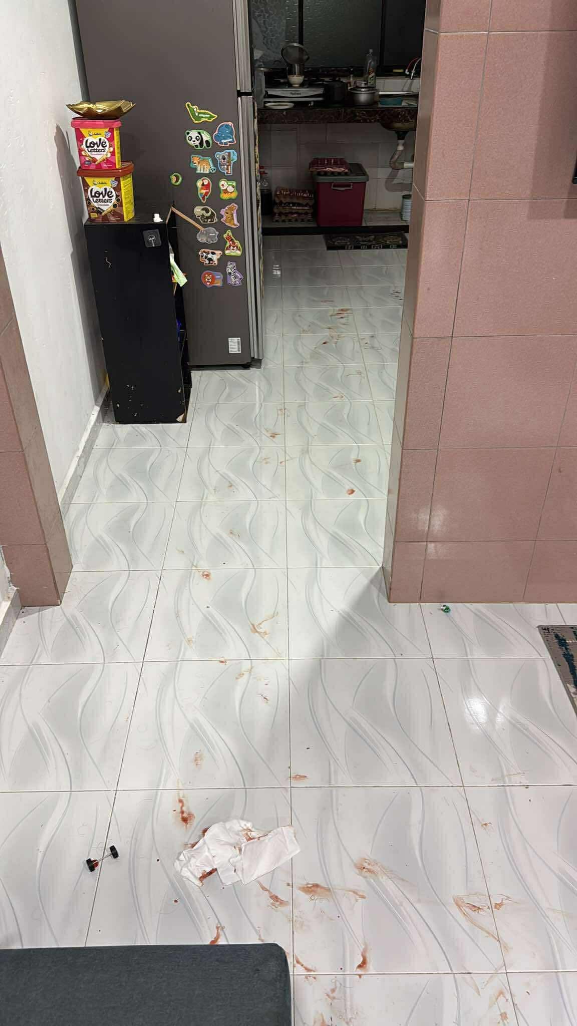 IBU DIPATUK ULAR SAWA
