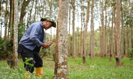 BANTUAN MUSIM TENGKUJUH 2025