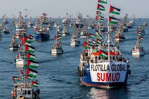 gelombang flotilla