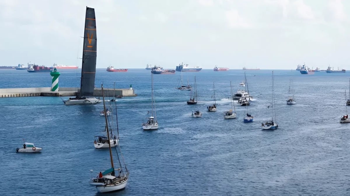 gelombang flotilla
