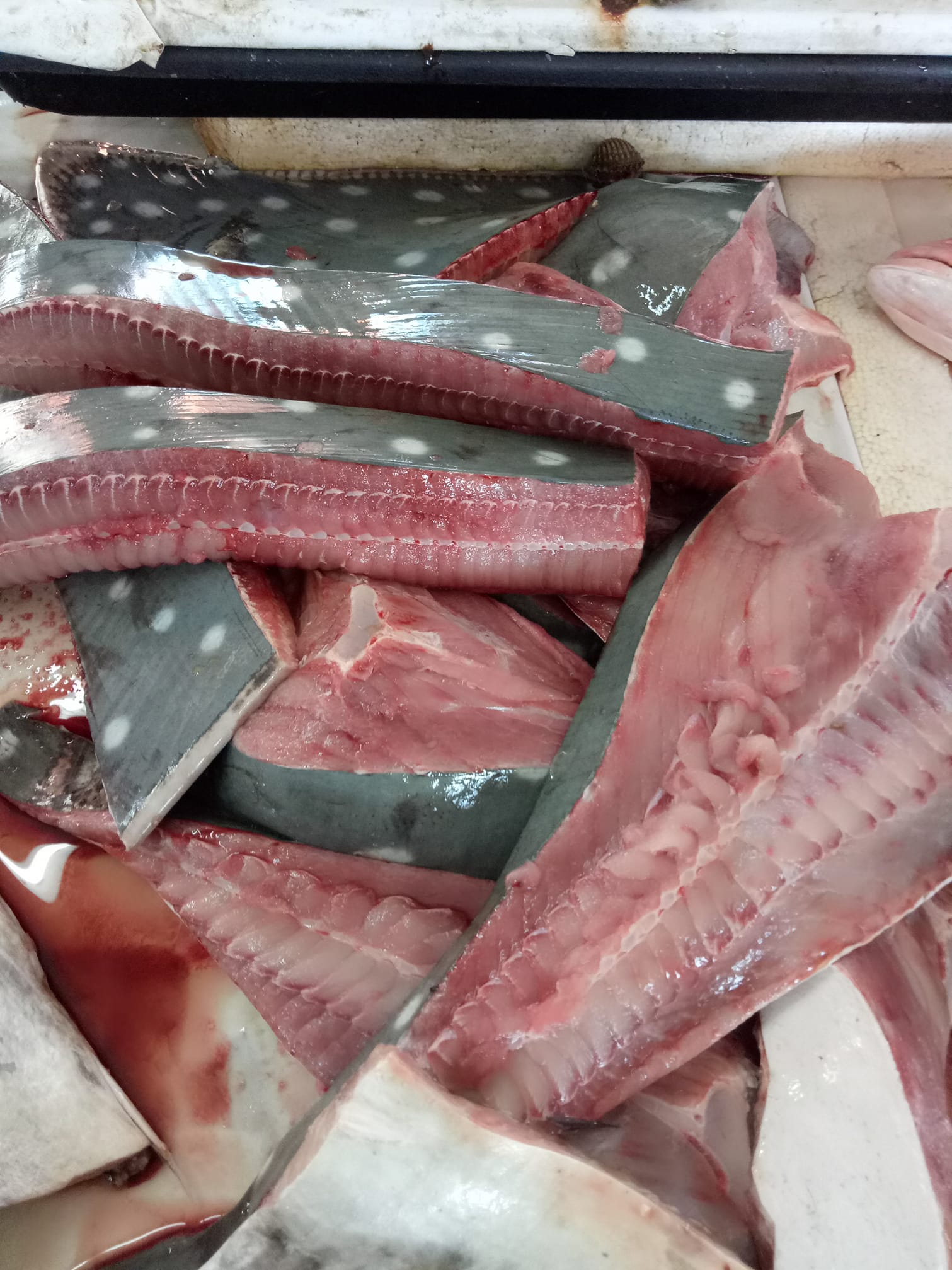 IKAN PARI KUAH LADA