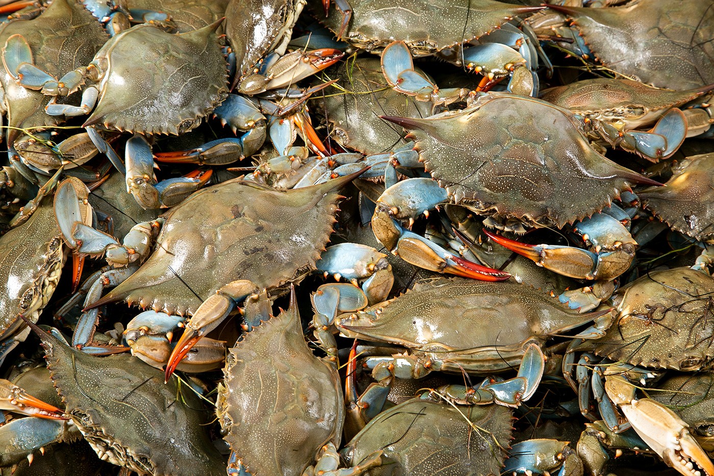 SUP KETAM THAI