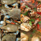 SUP KETAM THAI