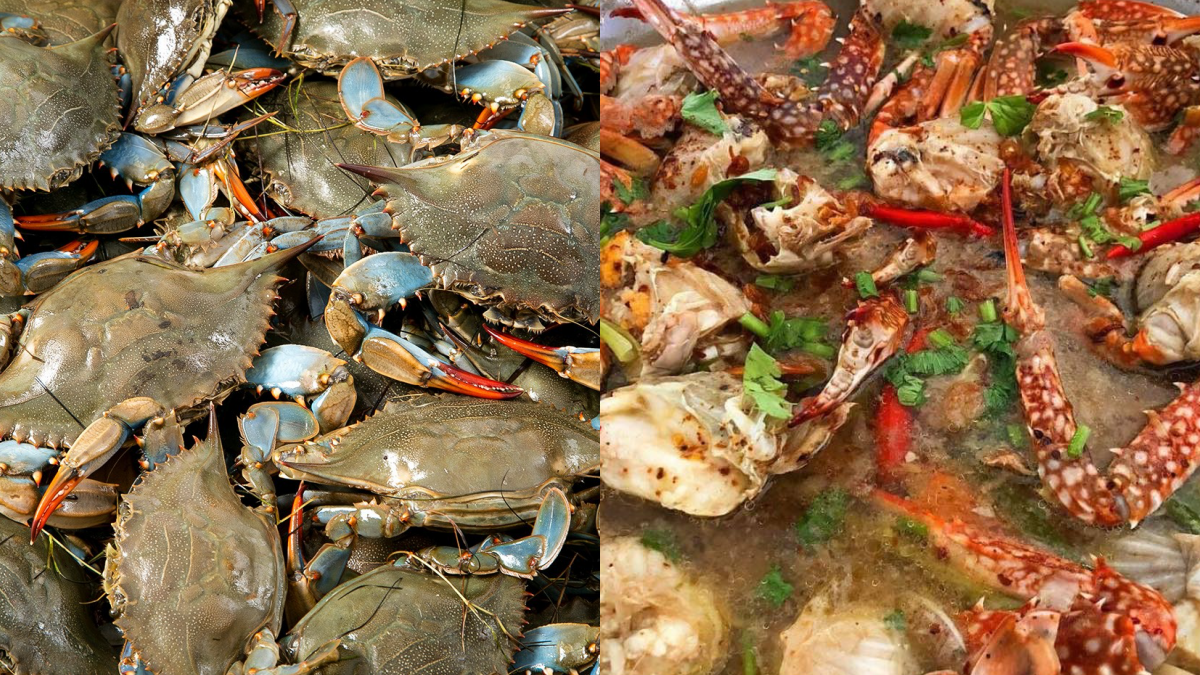 SUP KETAM THAI