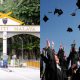universiti terbaik dunia