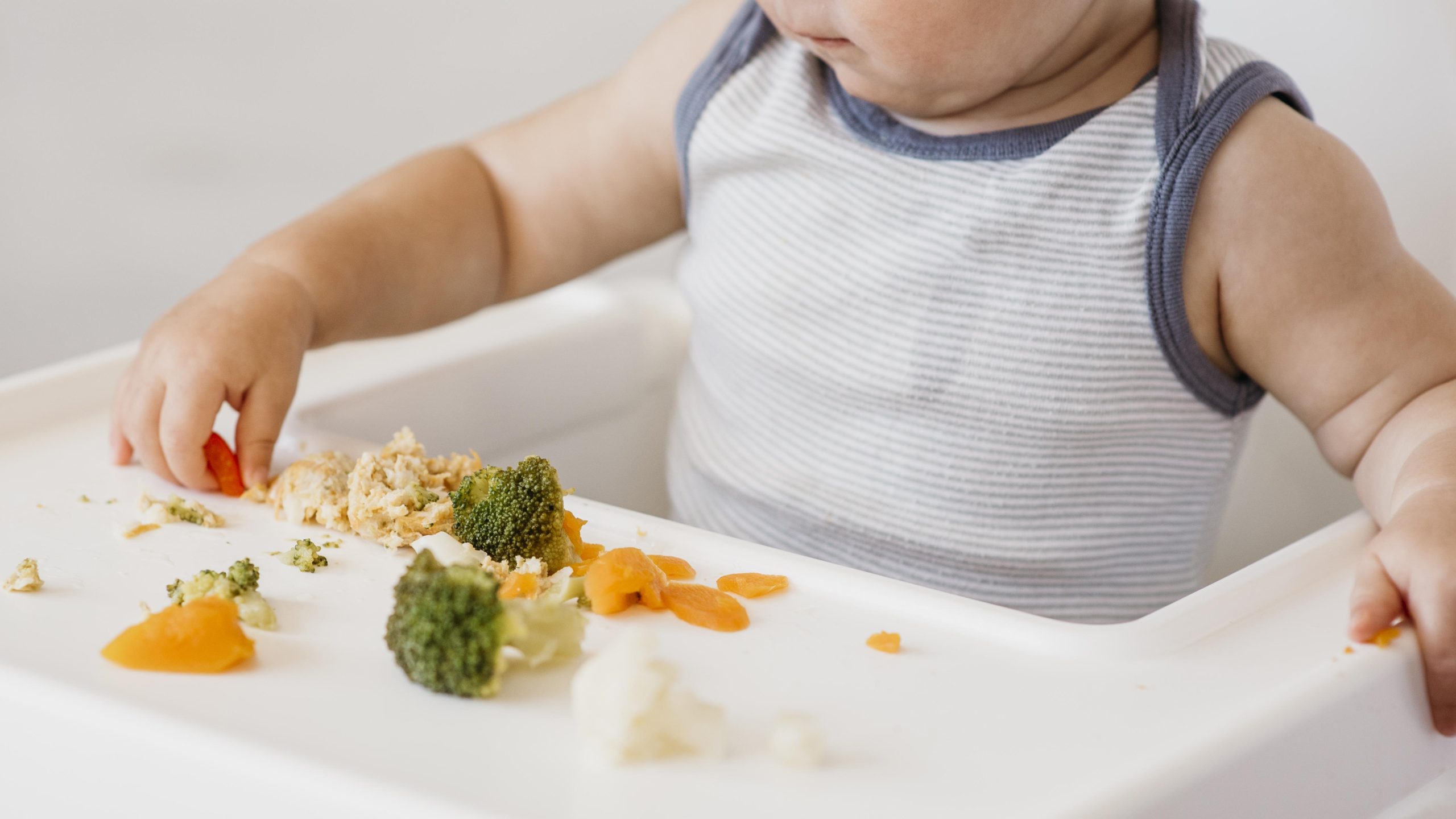 KONSEP BABY LED WEANING