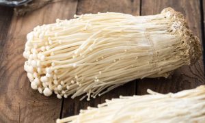 CENDAWAN ENOKI