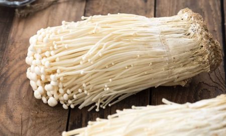 CENDAWAN ENOKI