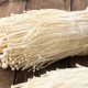 CENDAWAN ENOKI