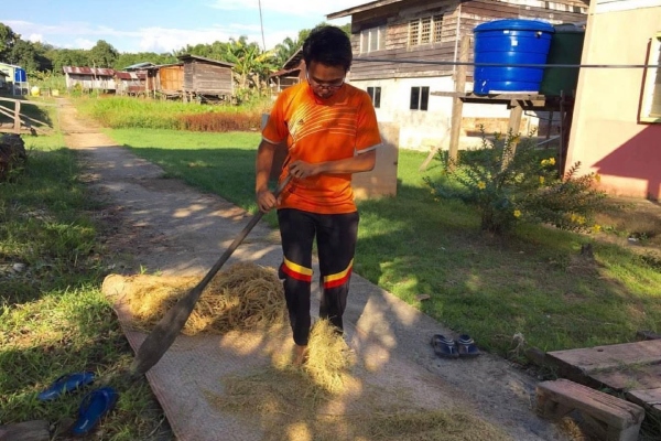 kawasan pedalaman