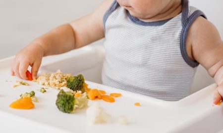 konsep baby led weaning