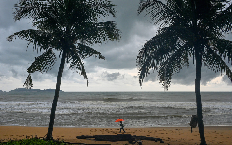 monsun timur laut