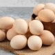 TELUR AYAM